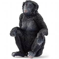 Hunbonobo abe Schleich Wild Life vilde dyr 14875
