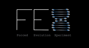 FEX Forced Evolution Experiment (PC) - Standard