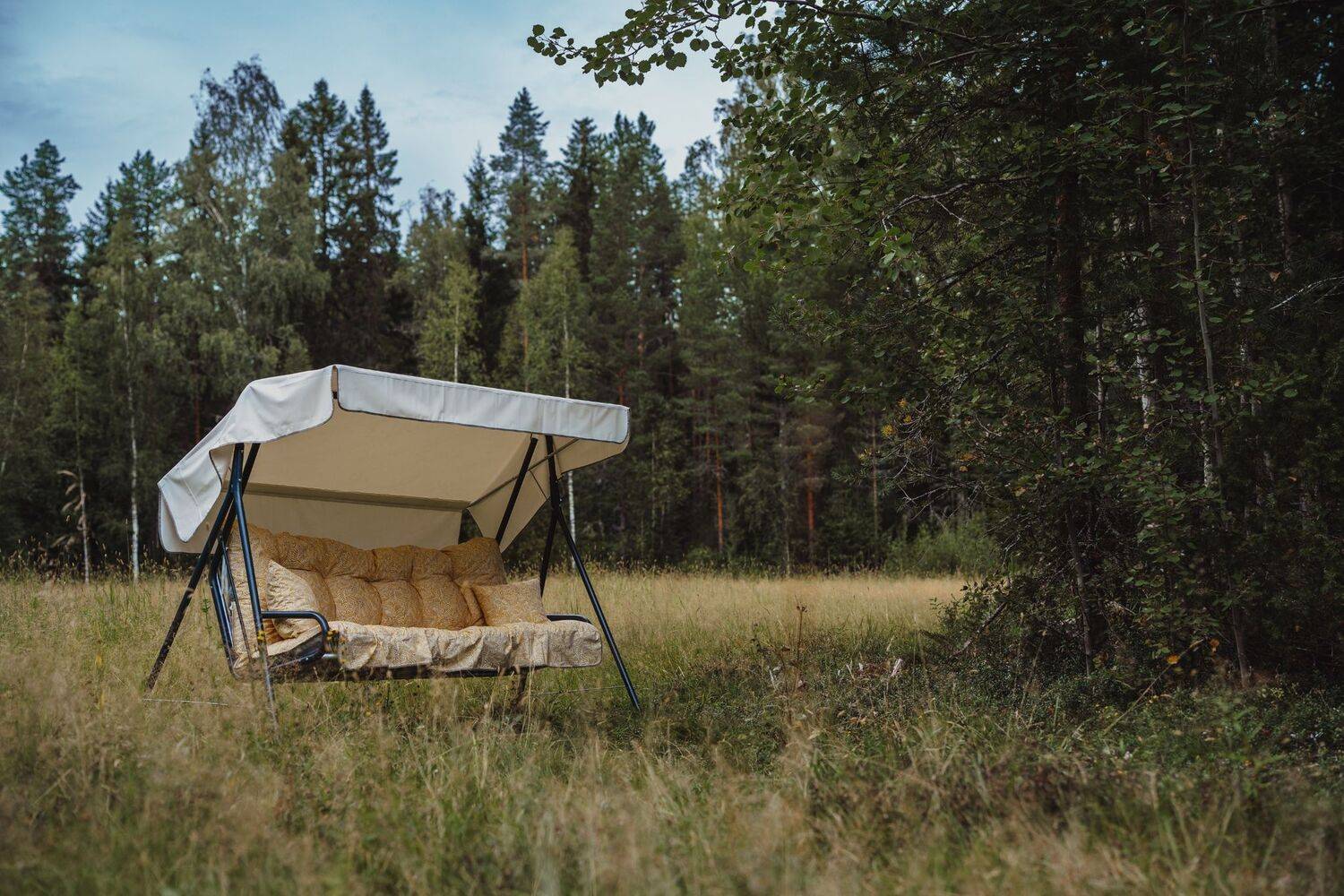 Suvi Hammock
