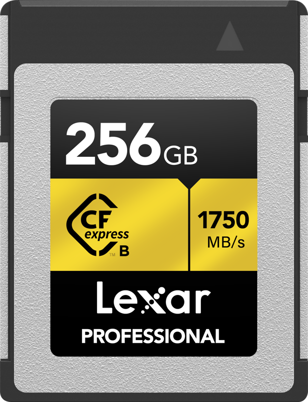LEXAR CFexpress Type B Pro Gold R1750/W1500 256GB