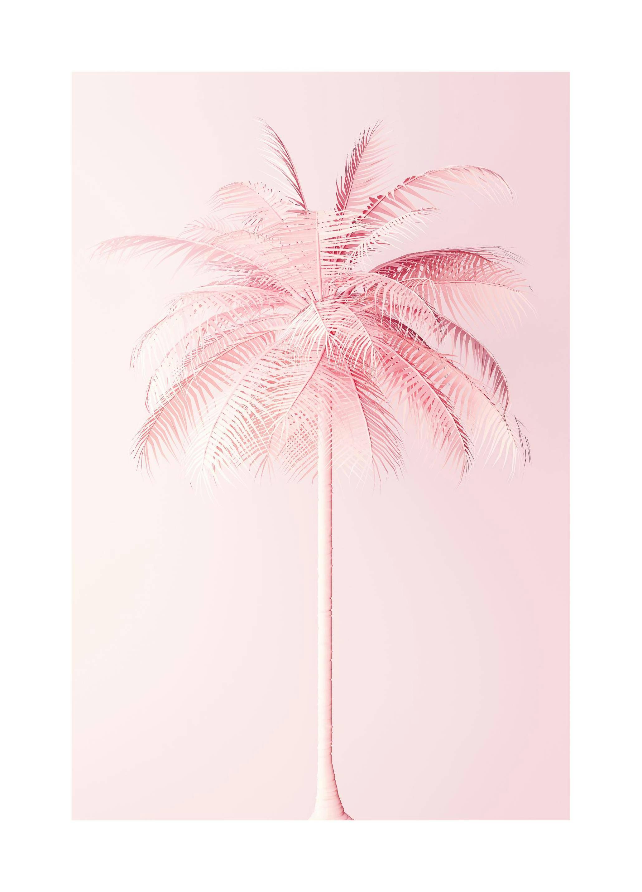 Pastel Pink Palm Poster (21x30 cm)
