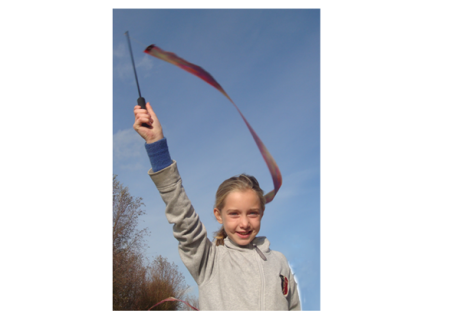 Gymnastik- /rytmikband 6mx6cm från Didak / Ribbon Stick 6mx6cm (gym ribbon danskoord ruban danser turn lint gymnastik band)