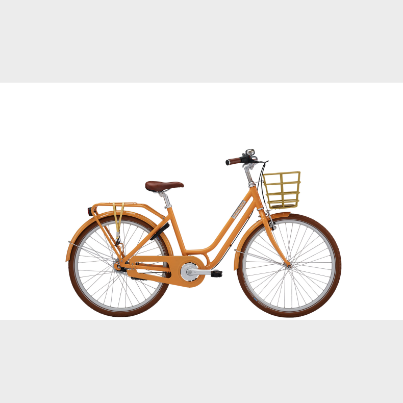Norden Clara 24"