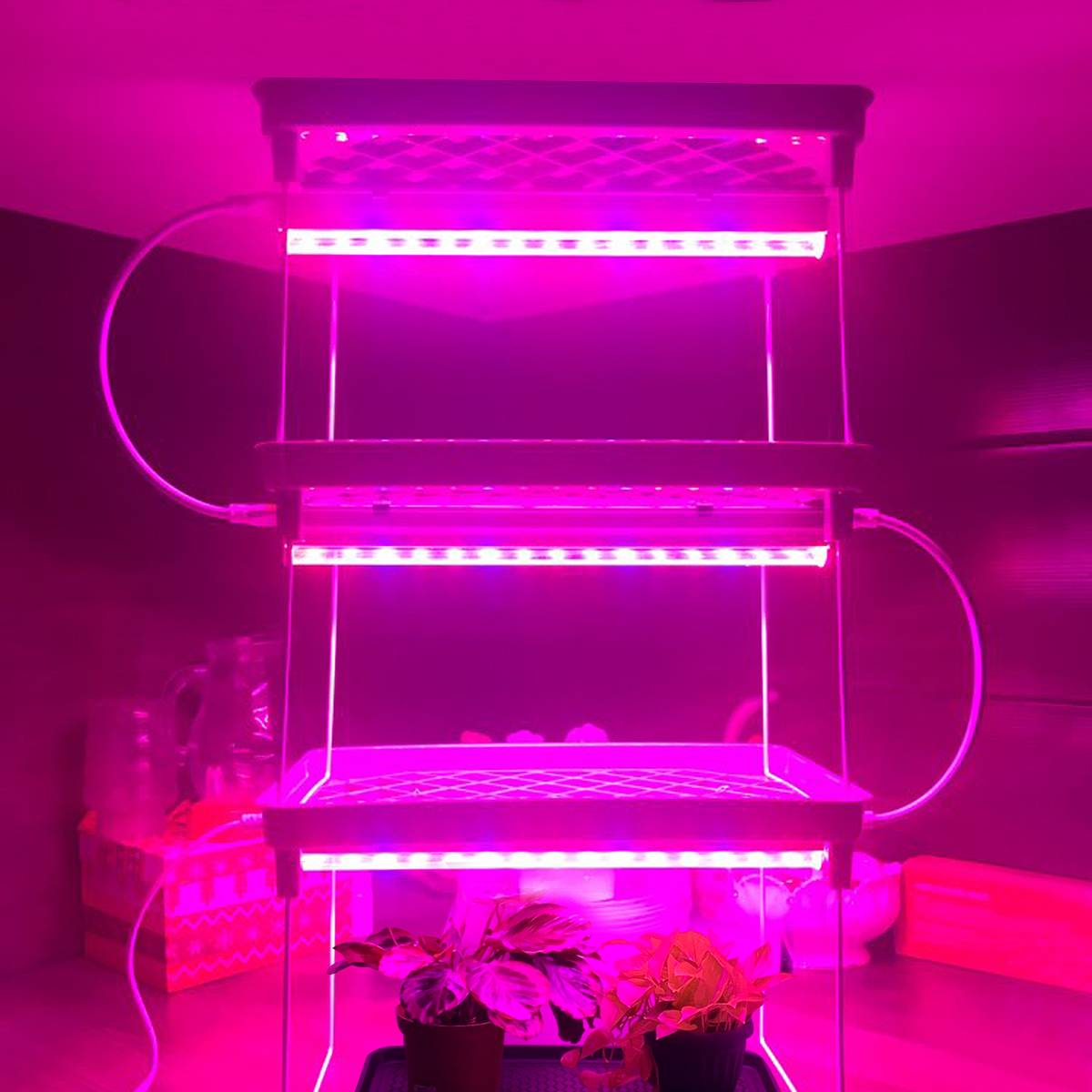 AC220V 110V LED Grow Light LED Plant Light Bar Full Spectrum Phyto Lamp Tube T5 29cm For Indoor Flowers Hydroponics System -Q