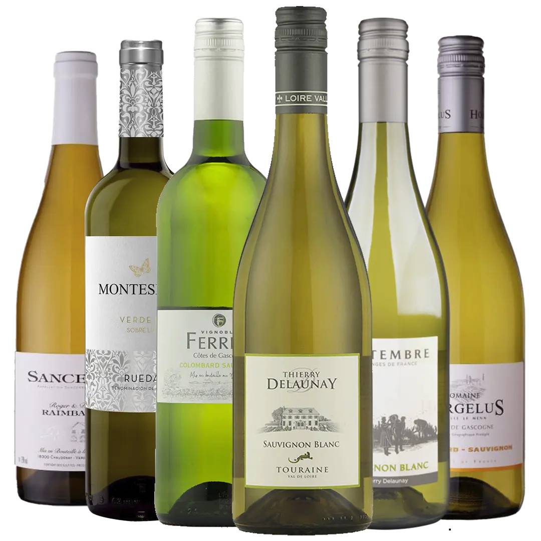 Sauvignon Blanc Smagekasse - En Frisk Smagsrejse med Citrus og Urtekarakter.