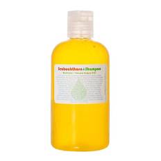 Living Libations Seabuckthorn Shampoo 240 ml