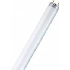 "OSRAM SLAGTERRØR SPLINTFRI 36W/76 NATURA SPS, 1200MM"
