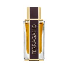 Ferragamo Spicy Leather Parfum 100 ml Uomo