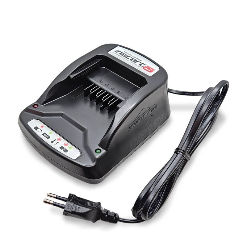 Briggs & Stratton lader (593562).