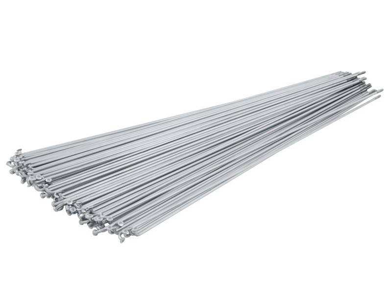 DT Swiss Champion 2mm - 295mm - Silver