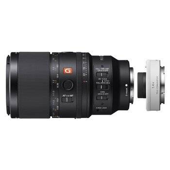 Sony SEL 100mm f/2.8 Macro GM OSS + SEL-14TC 1,4x telekonverter