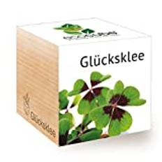 Feel Green 296275 Ecocube Glücksklee, Nachhaltige Geschenkidee (100% Eco Friendly), Grow Your Own/Anzuchtset, Pflanzen Im Holzwürfel, Made in Austria, natural