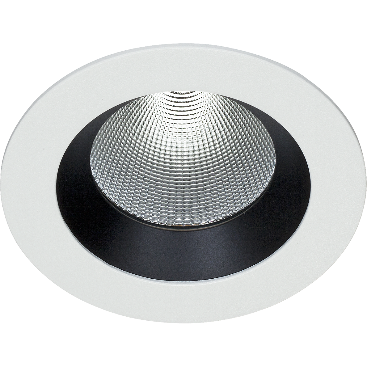 Easyform Pride Downlight norm 30W