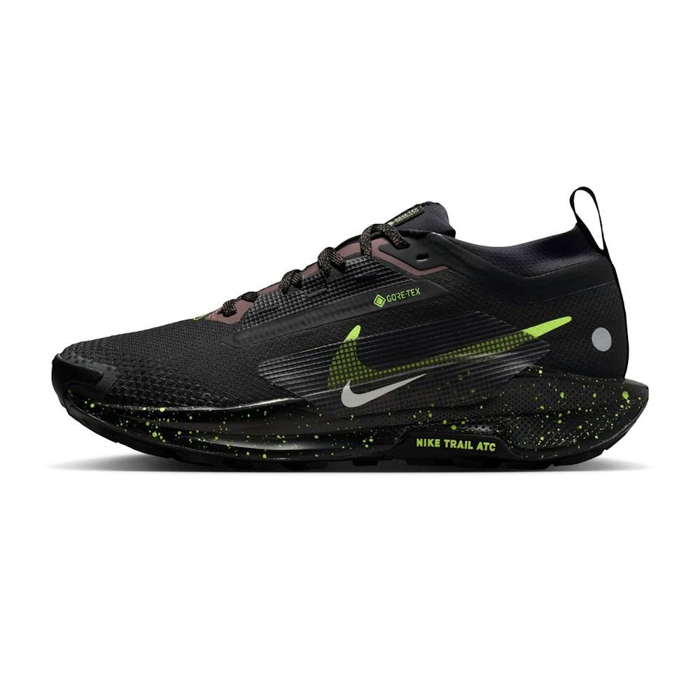 Nike Pegasus Trail 5 GTX Dam