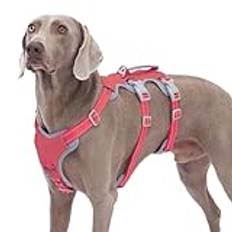 Huntboo Hundsele,Hundsele för promenadsäker,helt reflekterande sele med vadderat handtag,andningsbar,slitstark,justerbar väst för stora hundar som går,tränar och kör utrustning