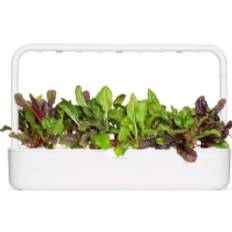 Click And Grow Click &amp  Grow Frø til smart pot - Mangolds (Rainbow Chard), 3 stk.