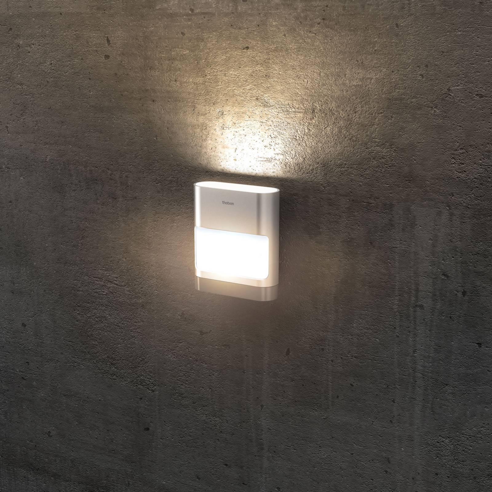 Theben LED utomhus vägglampa theLeda D SUL AL, Aluminium / grå / zink, Aluminium / grå / zink, Modern, LED-vägglampa utomhus