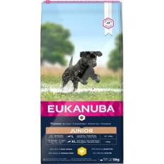Eukanuba Dog Junior Large KYLLING, 15kg