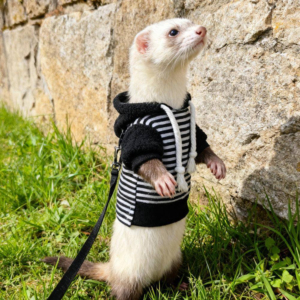 Ferrets Kläder Sele och Koppel Set Vintervarm Rock & Rymningssäker Sele Koppelsats Justerbar för Husdjur Utomhusresor