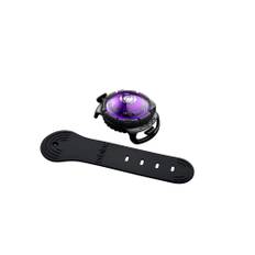 Dog Dual LED Hundelygte - Lilla - Orbiloc