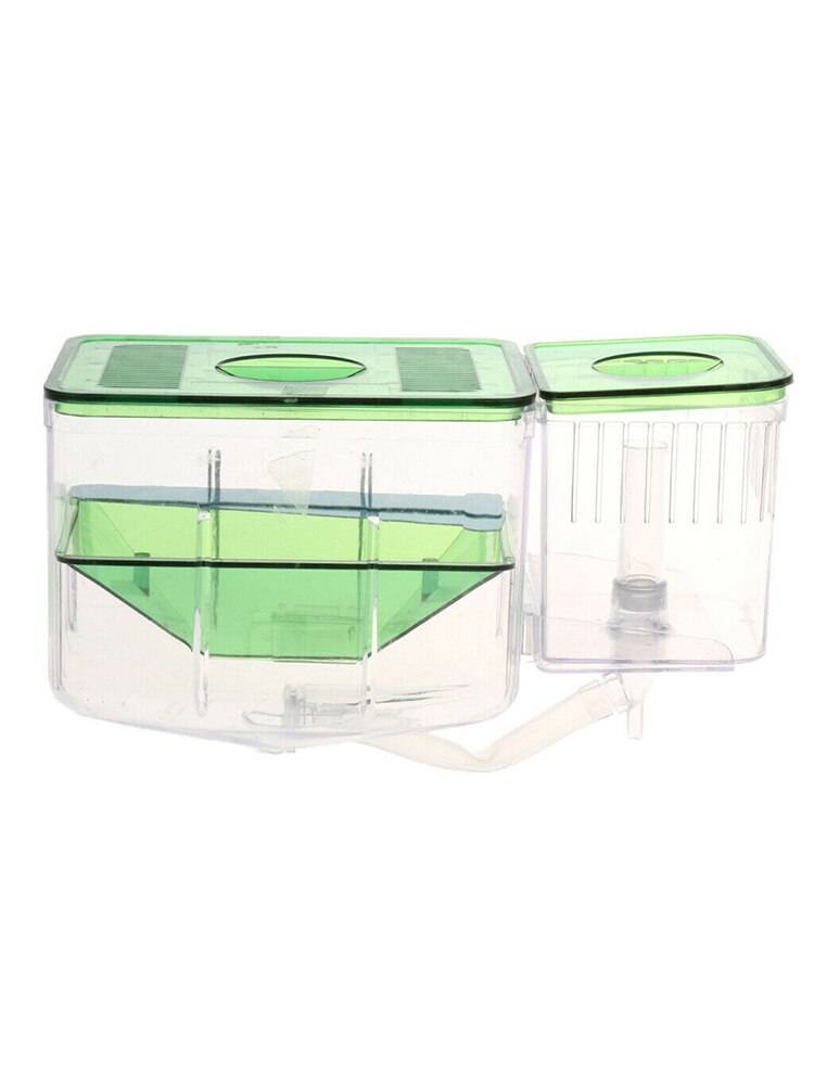 Transparent Akvarium Kläckningsbox