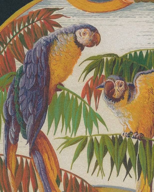 Tapet Singes et perroquets - Nocturne från Pierre Frey