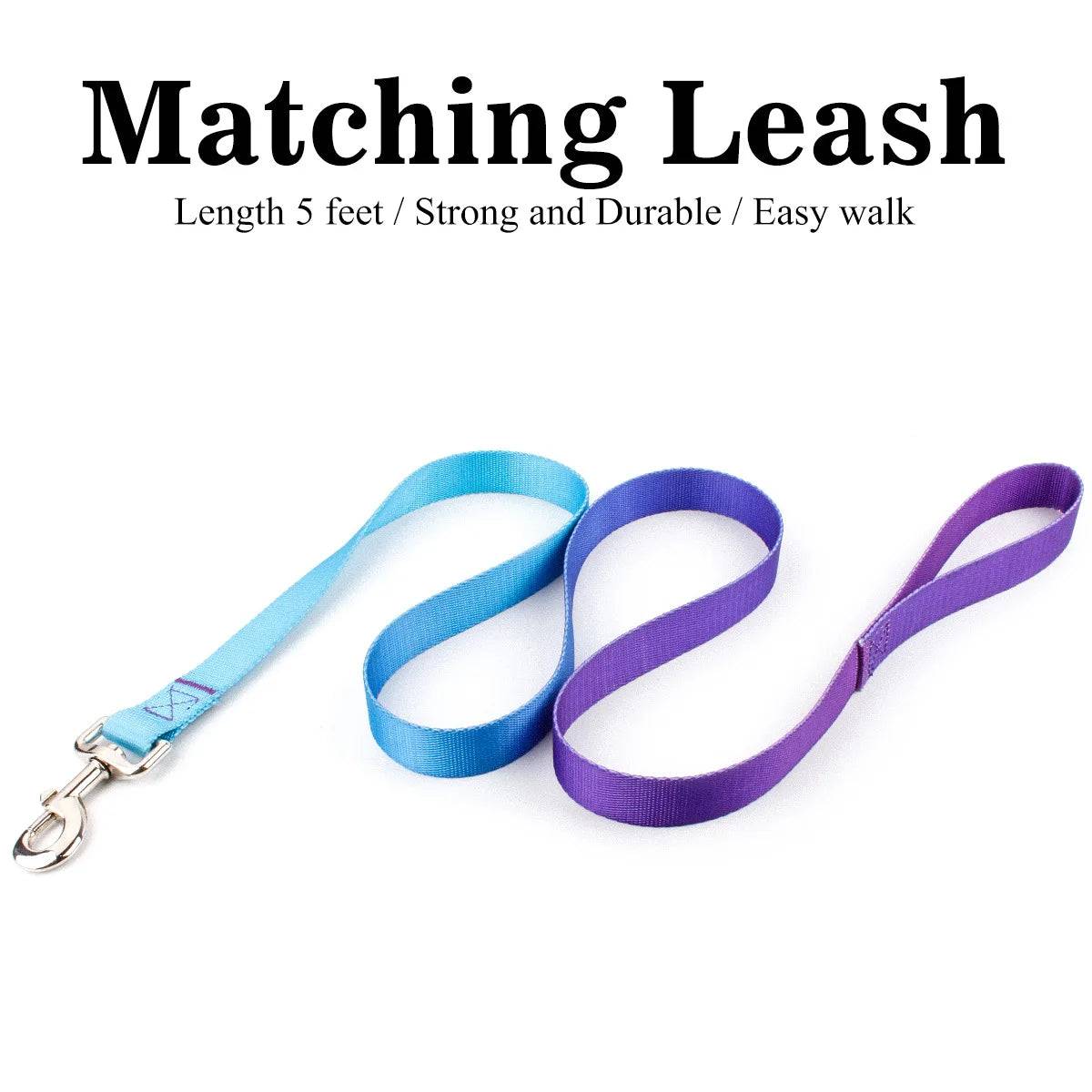 Adjustable Dog Collar and Lead Set - PB-Leash / wide 1cm 2-5kg (wide 1cm 2-5kg)