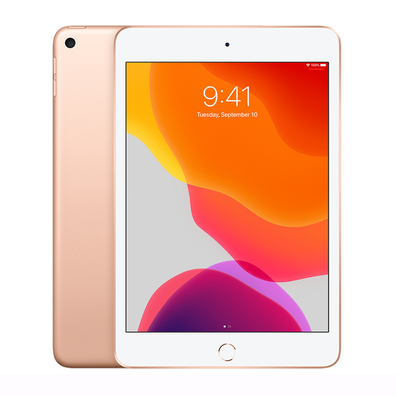 iPad Mini 5 (2019) 7.9" - Wifi ONLY / 256GB / Gold