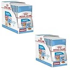 Royal Canin Medium Puppy | dubbelpack | 2 x 10 x 140 g | våt valpmat för medelstora hundar | upp till 12. Månad i livet | För att stödja hjärnan | bitar i sås