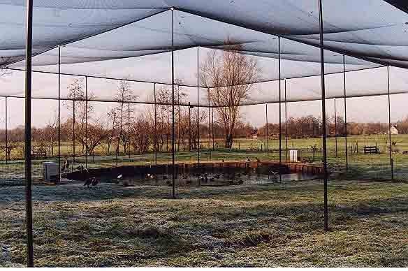 Overnet til hønsegård / Voliere - 28 mm masker - 3,5 x 25 meter