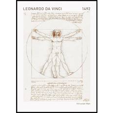 Leonardo da Vinci, Vitruvian Man Plakat (70x100cm) - Plakater  > Kunstplakater