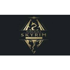Elder Scrolls V: Skyrim Anniversary Edition (PS5) (Account) - Standard