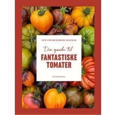 Din guide til fantastiske tomater