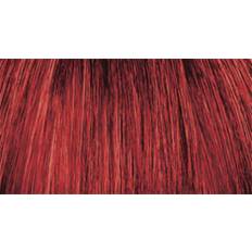 Stargazer Hot Red