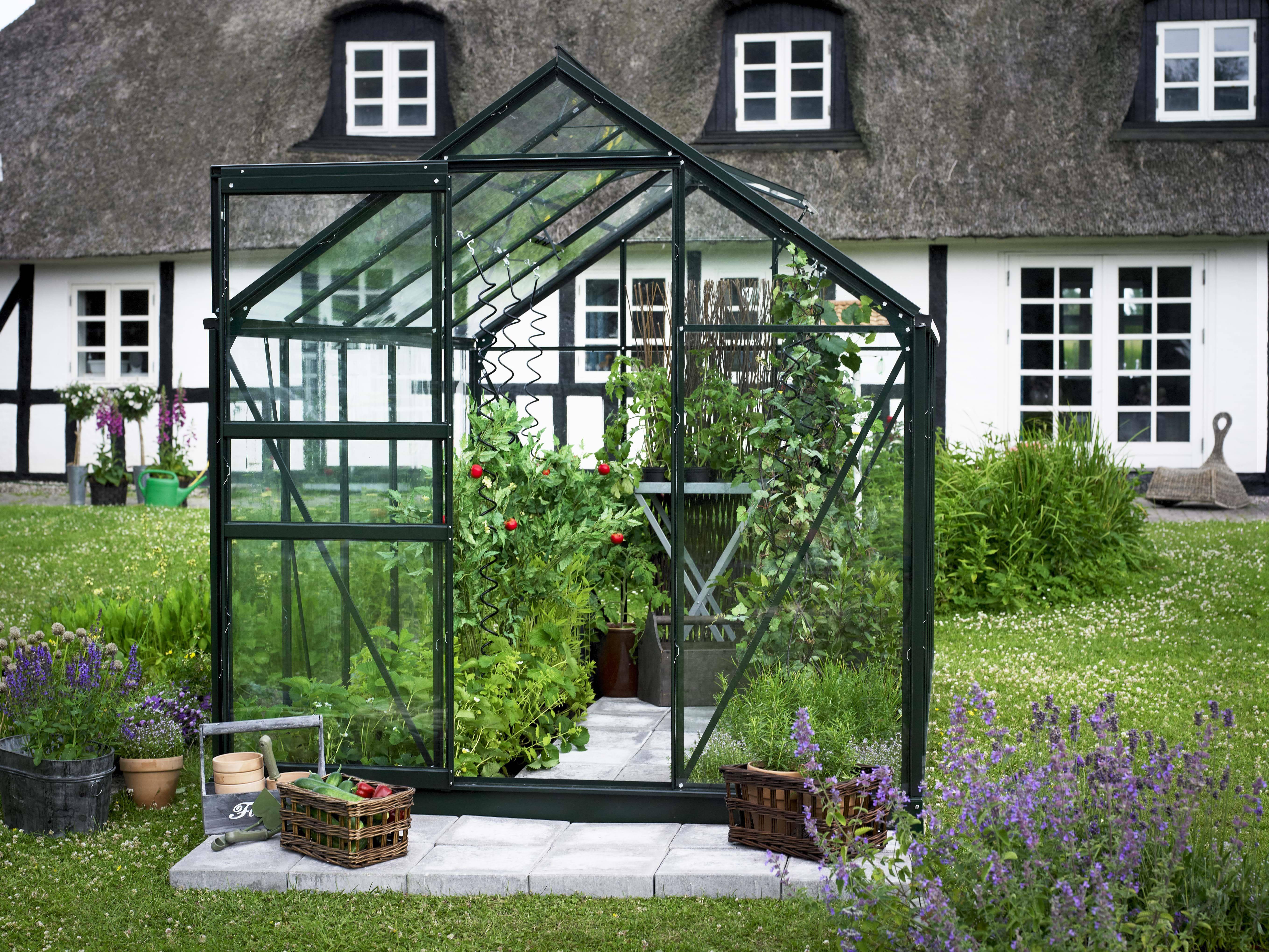 Halls Popular 106 + F08202 Växthus med fundament, 6,2 m², grön/svart