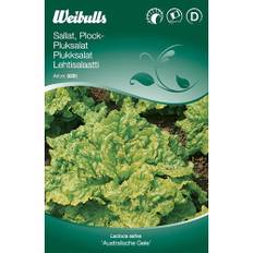 Sallat, plock, Australische Gele