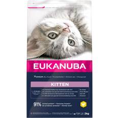 Eukanuba Kitten Healthy Start. Kattefoder til voksende killinger. 10 kg.