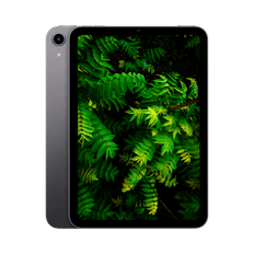 iPad Mini 6 (2021) 8.3" WiFi + 5G