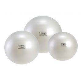 Gymnic Fit Ball
