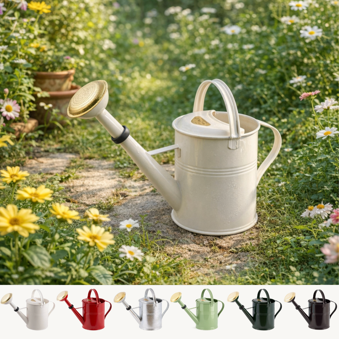 Vandkande i galvaniseret metal - 5 liter - Sort