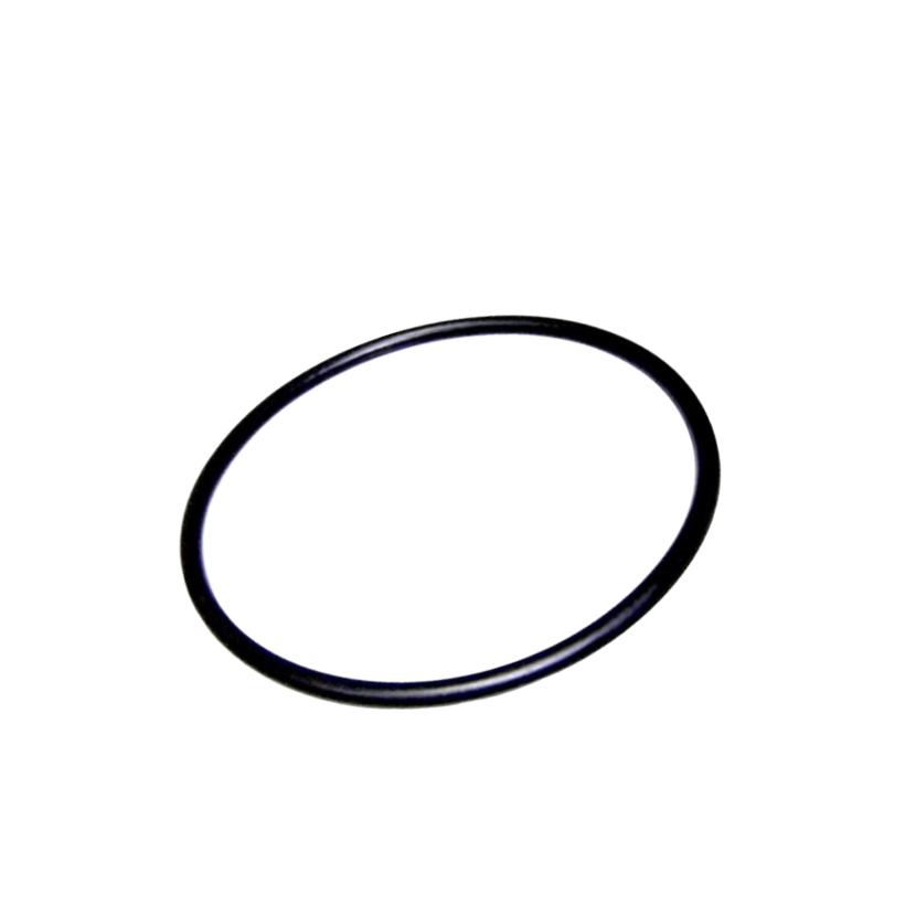 O-ring 151,7 x 6,99 mm - Astralpool