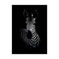 Poster&Frame Plakat - The Zebra - B 30 x L 40 cm - Papir - Sort