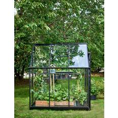 Halls Qube 66 F09816 Växthus 3,9 m², svart