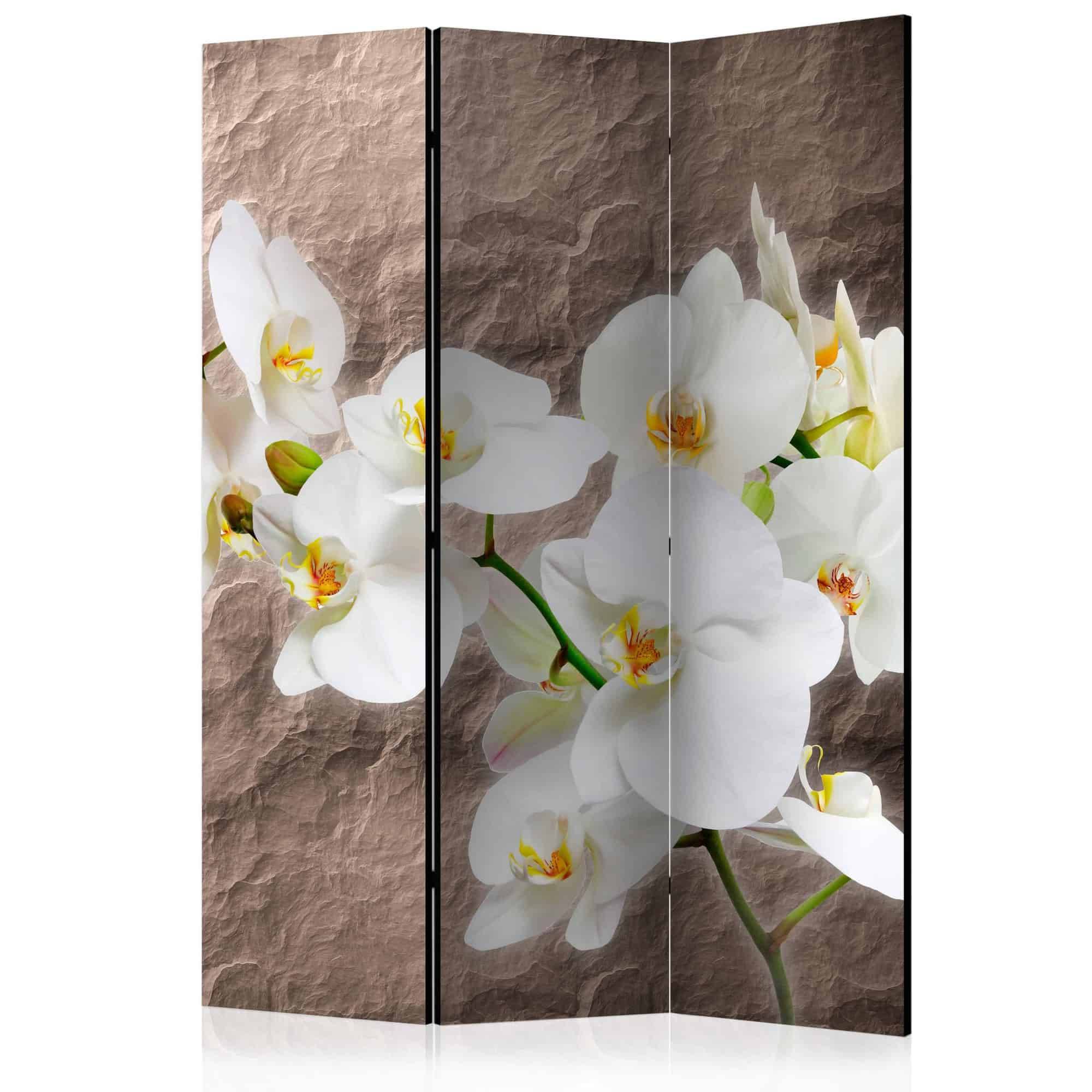 Skærmvæg Impeccability of the Orchid