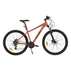 Mountainbike 29"