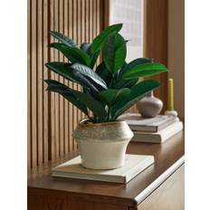 Next Green Artificial Rubber Plant in Ceramic Pot