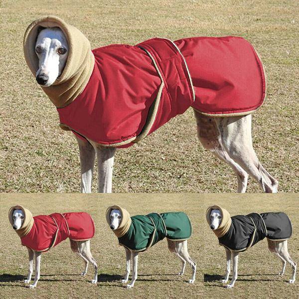 Vindtät Hundjacka Kläder Vattentät Whippet Coat Luvtröja med Fleece Halskrage Varmare röd