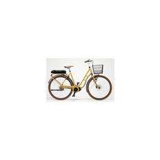 Skeppshult Natur Colour EL Dam 7-vxl Lejon 54cm