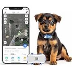 GPS Pet Tracker GPS Dog Tracker 4G Live Satellite Tracking, Multiple Smart Alerts, Full vattentät aktivitetsmätare för hundar och katter, obegränsat intervall, fjärrkontroll röståterkallelse