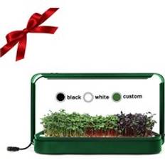New Ideas Christmas Gift Automatic Timing Garden Starter Propagation Kit Indoor Smart Lettuce Hydroponic Indoor Growing System